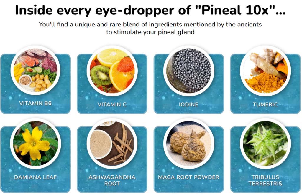 Pineal 10x: A Deep Dive into the Hype, The Hope, and The Hard Truth